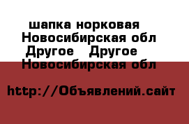 шапка норковая  - Новосибирская обл. Другое » Другое   . Новосибирская обл.